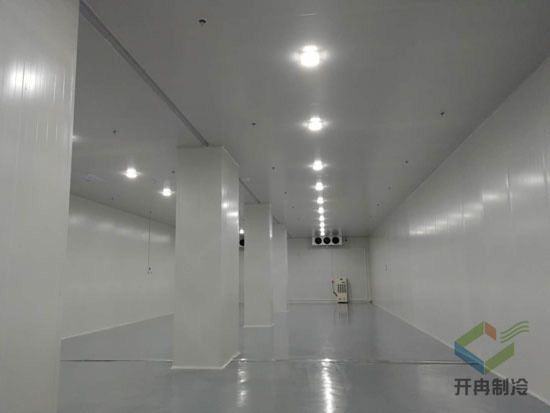 建設海鮮低溫冷凍庫安裝配置及價格是多少？