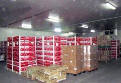 3000立方米水果保鮮庫需要投資多少錢？