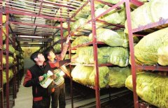 1000立方果蔬保鮮庫設計安裝要多少錢？