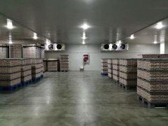 定制一個1000立方食品冷藏庫，需要多少錢？