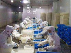 安裝一個3000立方低溫冷凍庫需要投資多少錢？