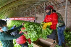 一場疫情，突出了冷庫的重要性！