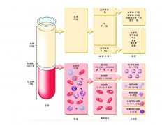 -30℃～-80℃血漿蛋白低溫冷凍庫規(guī)范，冷庫安裝價格
