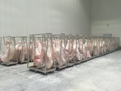 1000平牛肉冷藏庫造價多少錢，低溫凍肉冷庫建造