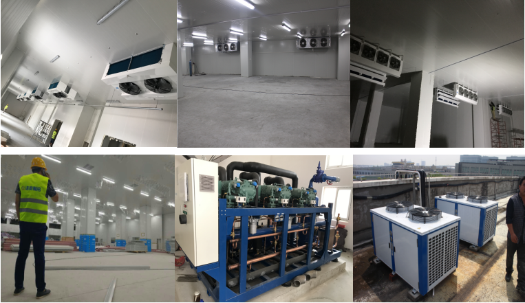http://www.6yoro.cn/gongchenganli/shipin/1230.html
