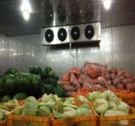 50噸蔬菜保鮮庫決定造價的因素有哪些？