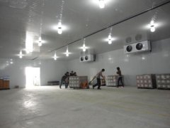 10000噸果蔬氣調(diào)庫建造需要多大面積，前期大概預(yù)算是多少？